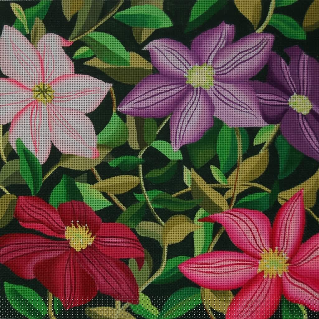 Giant Clematis Vines (ED-1289)
