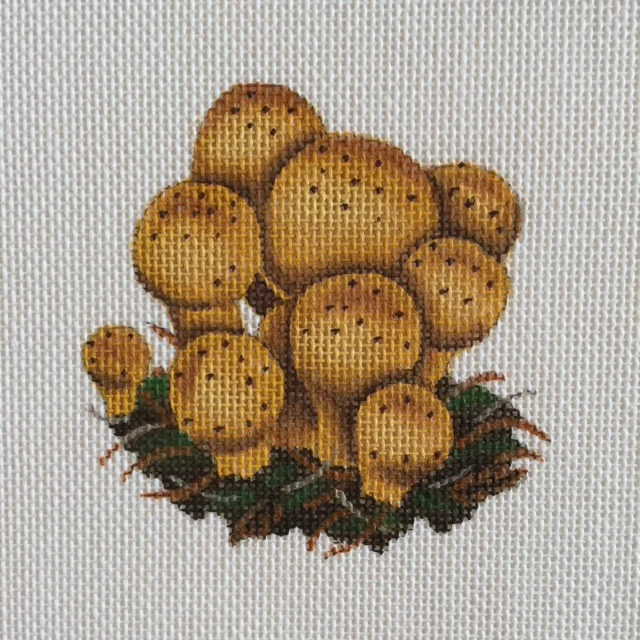 Mushrooms* (376-H)