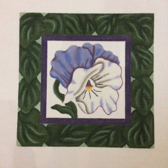 Pansy* (408B)