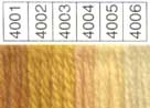 Waverly Wool HANK (Colors 2091-4017) - Image 13