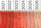 Waverly Wool HANK (Colors 2091-4017) - Image 5