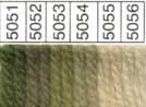 Waverly Wool HANK (Colors 4021-5067) - Image 13
