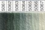 Waverly Wool HANK (Colors 4021-5067) - Image 14